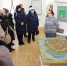 День экскурсовода в Торопце - Администрация района
