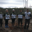 В Тверской области в рамках акции «Сад памяти» высадили почти 2,7 млн деревьев - Газета Мой Край