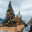 Новогодняя ель Тверской области украсила ВДНХ на Международной выставке «Россия» - Газета Мой Край