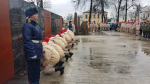 В Сквере Памяти города Торопца состоялась Патриотическая акция «Вперёд к Победе»