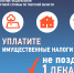 Жителям Тверской области направлены налоговые уведомления за 2024 год - Администрация района